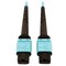 Tripp Lite Mmf Fbr Optic Cable Om4 Plenum, N846D-10M-24AAQ N846D-10M-24AAQ - alternate 1